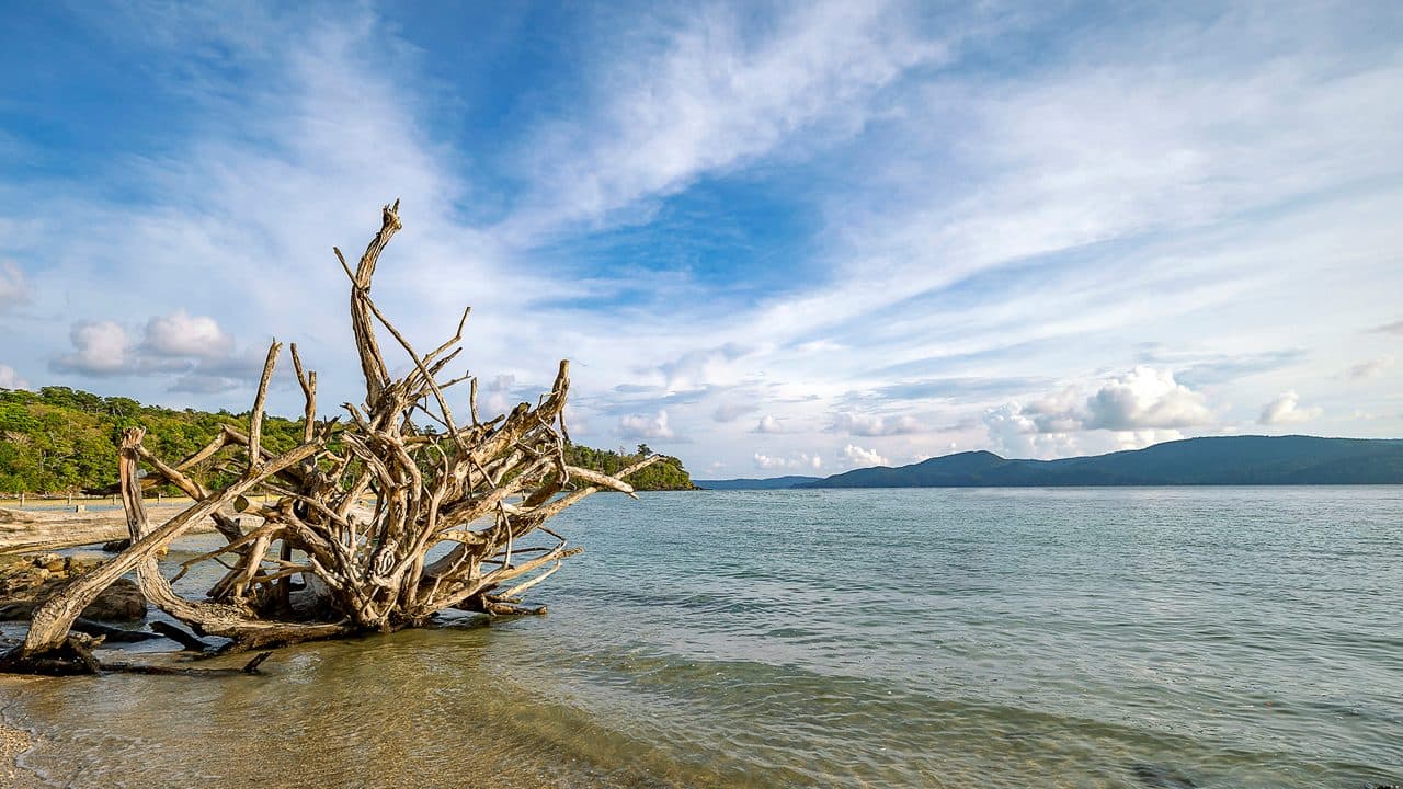 Transfer to Port Blair - Chidiya Tapu Beach image2